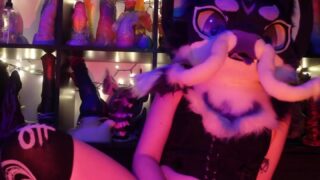 Playful Little Pixie Kitten porn Epic