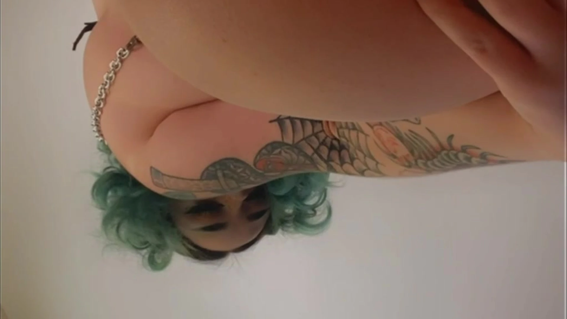 American Midori Bug  pussy