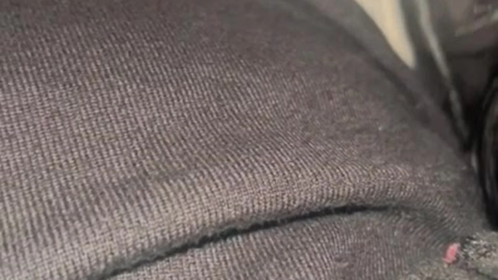 Exposed Erotic Nympho Latin Michelle Rabbit  give away free vid